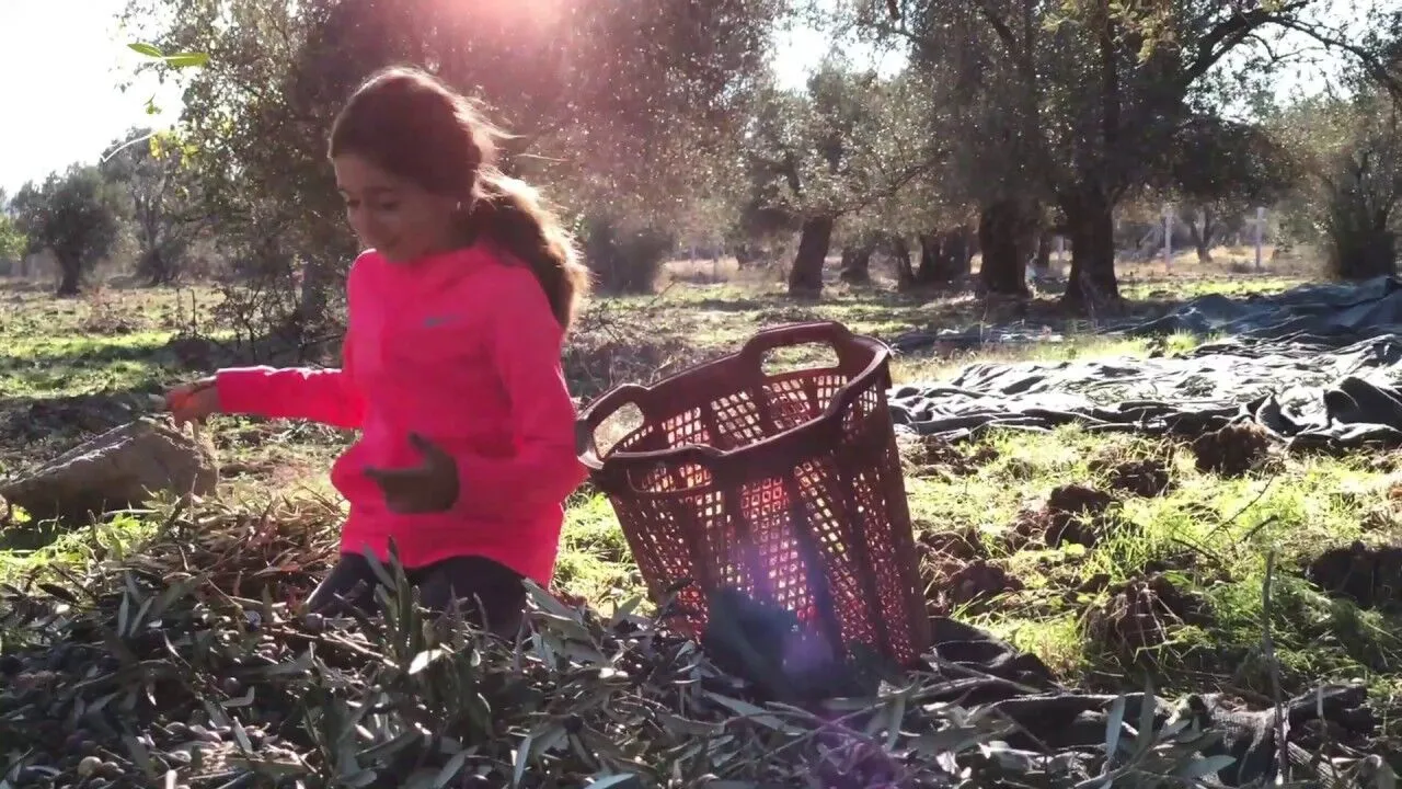 Troy Organics Tanıtım Filmi